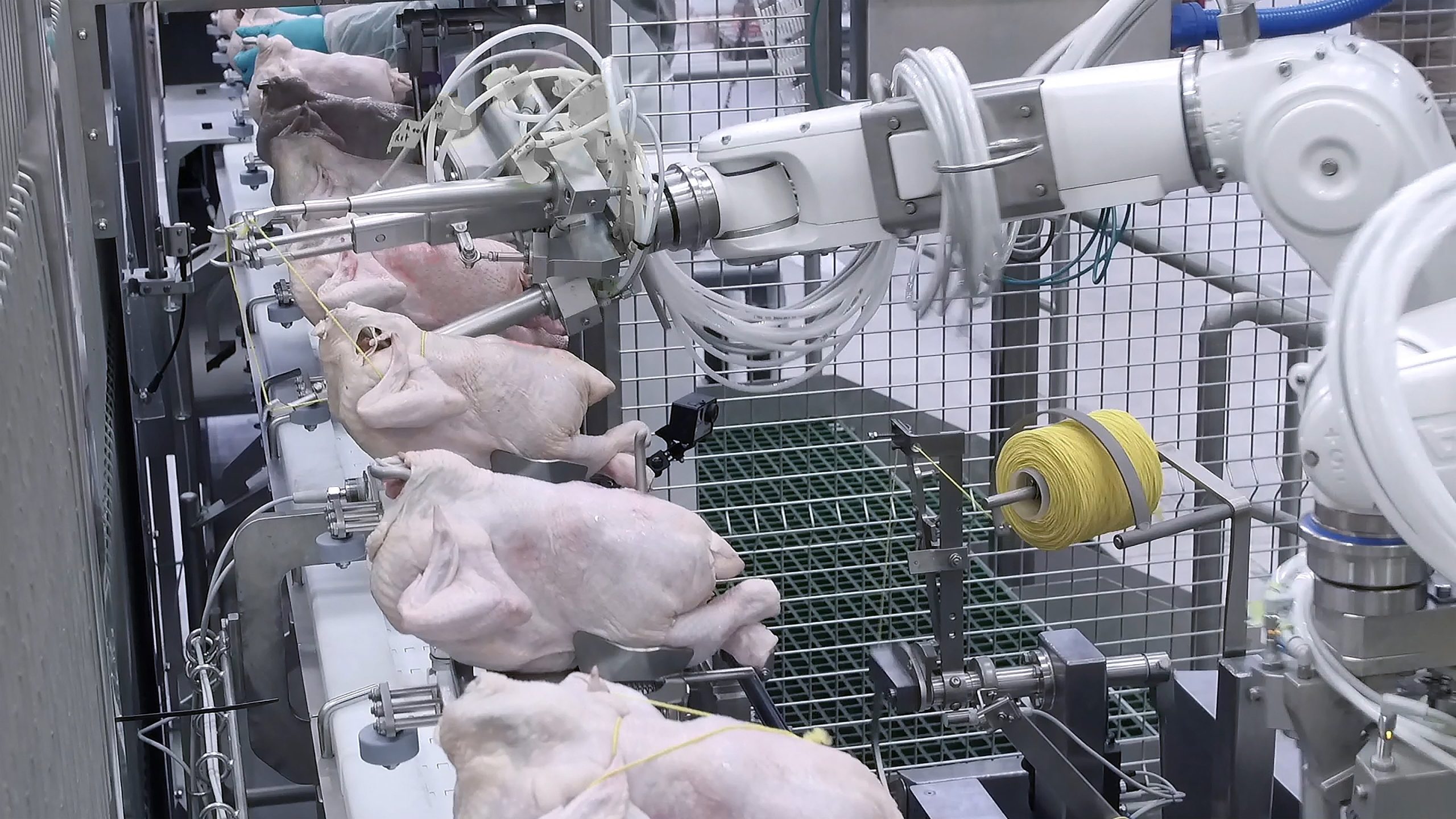 Poultry tech awarded Poultry & Livestock Review Africa